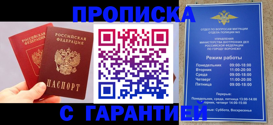 прописка паспорт в Бабаево